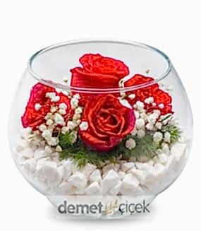 Fanusta 5 Kırmızı Gül
