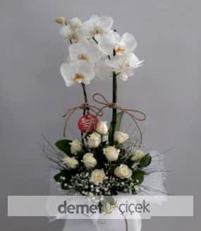 Beyaz Gül ve 2 Dal Beyaz Orkide
