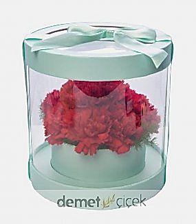 Mint Yeşili Kutuda Karanfiller
