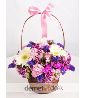 Sepette Gerbera ve Hüsnüyusuf