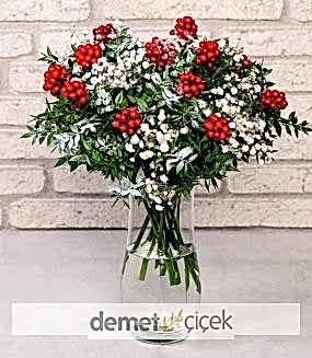Vazoda Kokina Yılbaşı Çiçeği