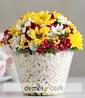 Seramikte Karışık Papatyalar