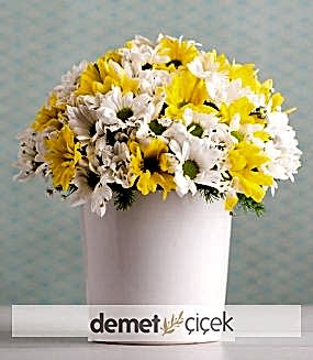 Seramikte Sarı Beyaz Papatyalar