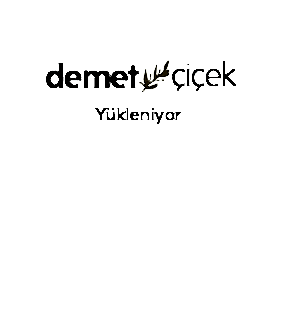 İkili Yukka Saksı Çiçeği